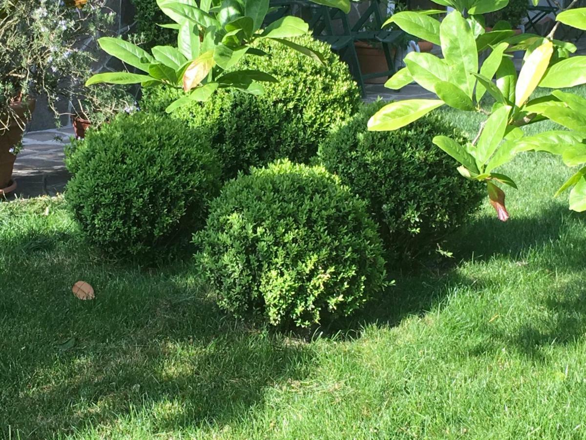 Appartement House&Garden à San Donato Milanese Extérieur photo